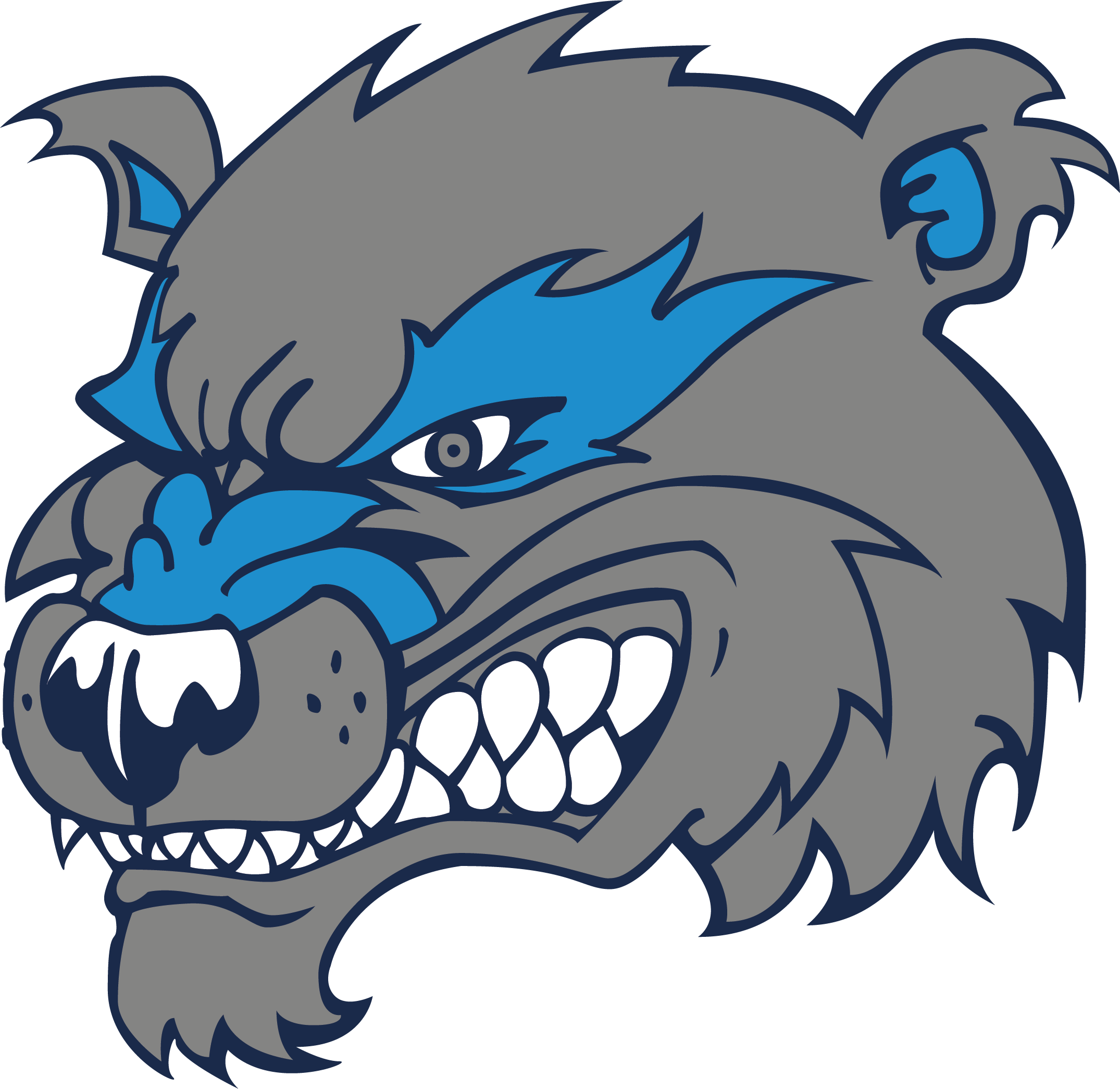 Logo for Oxford High School